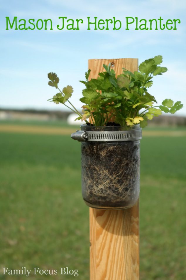 25 DIY Planters to Jazz Up Your Garden Space