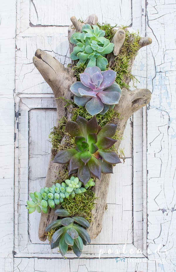25 DIY Planters to Jazz Up Your Garden Space