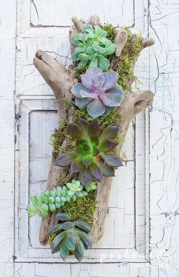 33 Unique DIY Planter Ideas For Your Backyard - The DIY Nuts