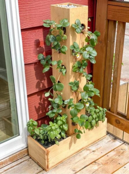25 DIY Planters to Jazz Up Your Garden Space