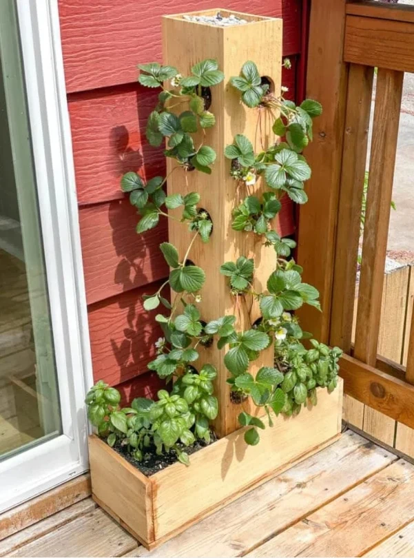Diy planters deals