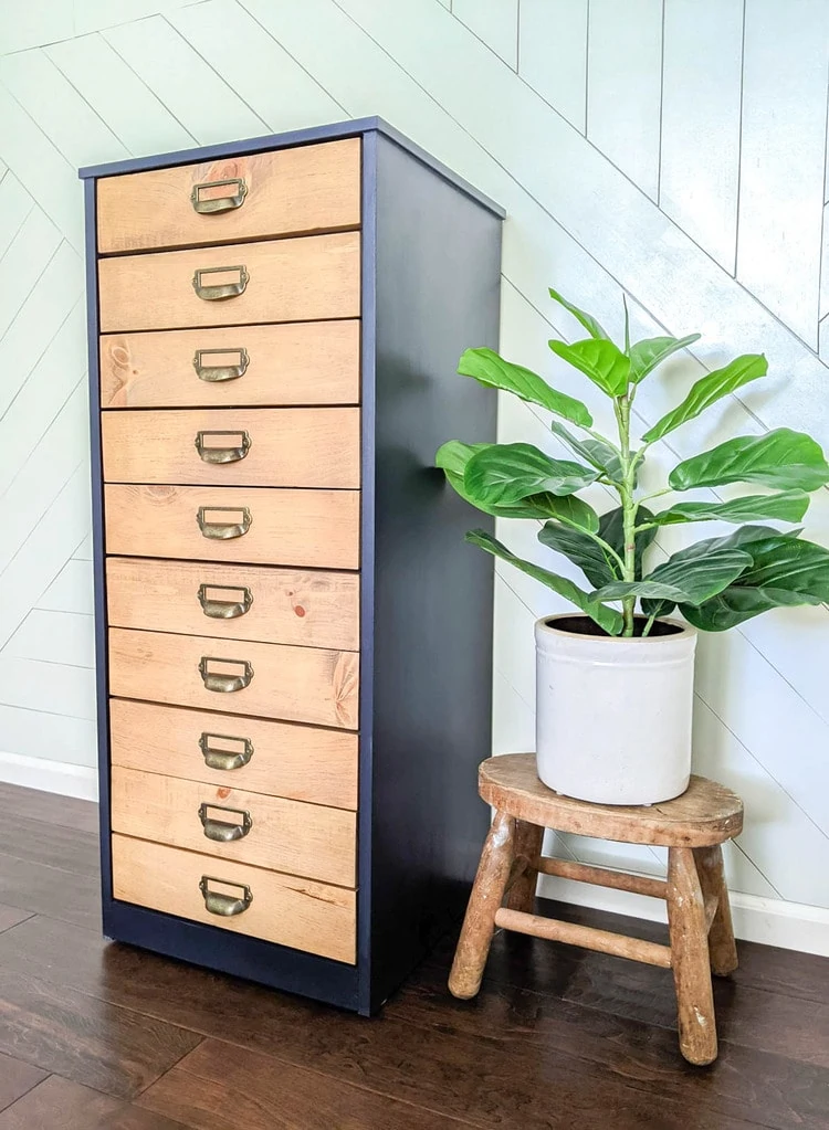 finished diy apothecary cabinet next to a plant.