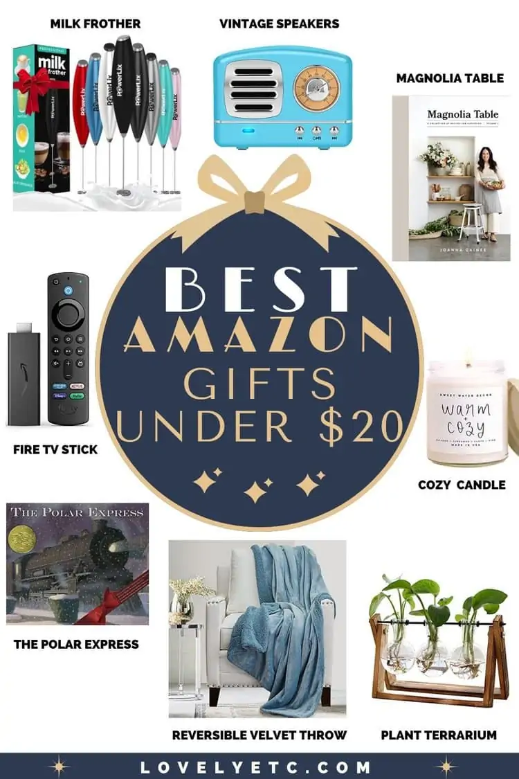 Amazon gifts under $20 pin collage