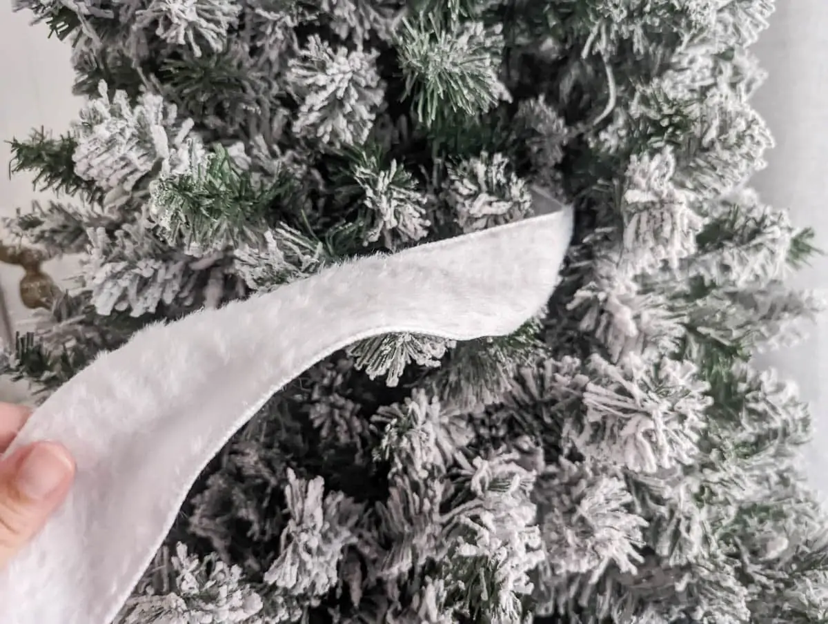 holding a strip of ribbon with one end tucked into Christmas tree.