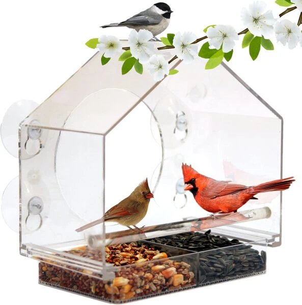 window birdfeeder.