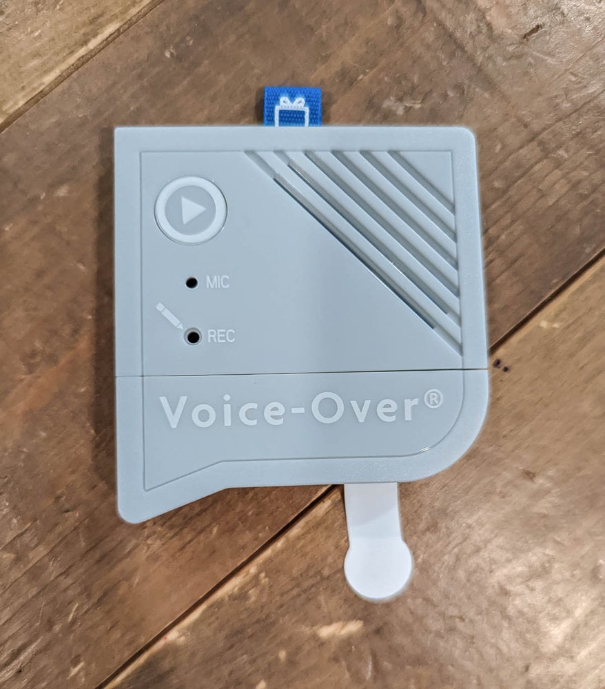 Voice-over voice recorder.