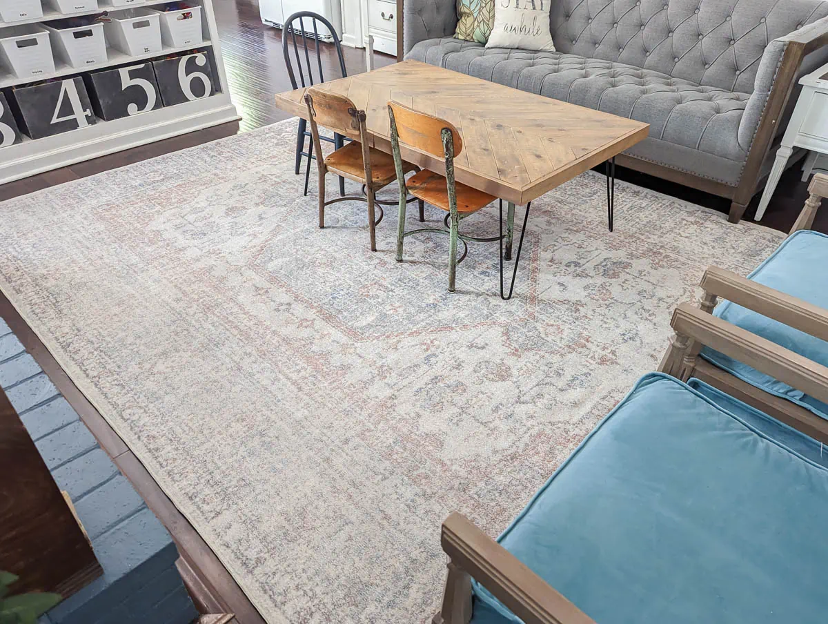 vintage medallion washable rug in living room.