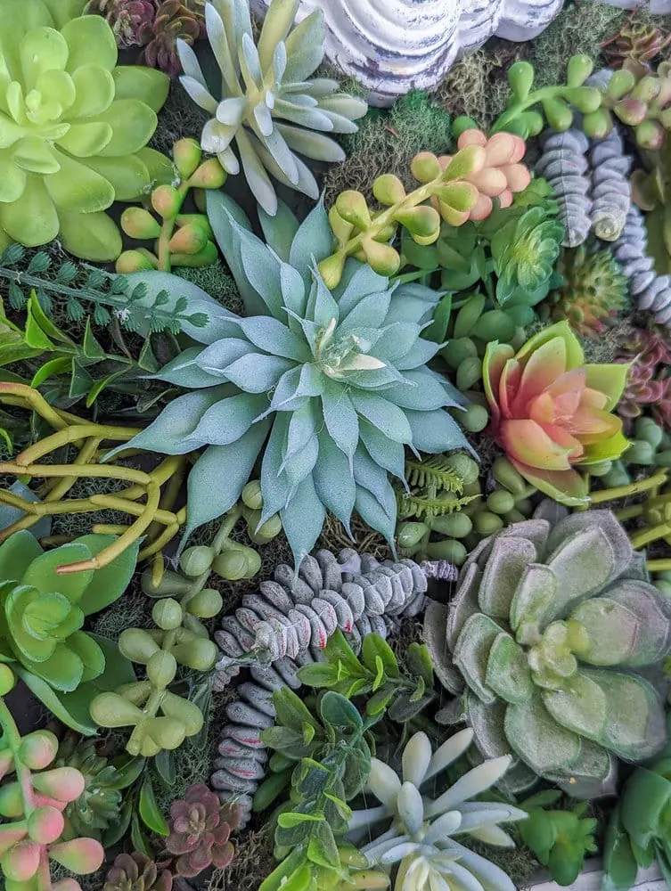 close up of faux succulents.