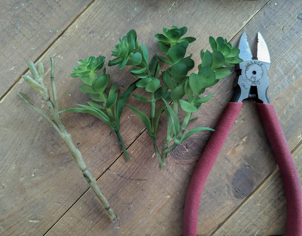 small faux succulents cut from stem next to wire cutters.