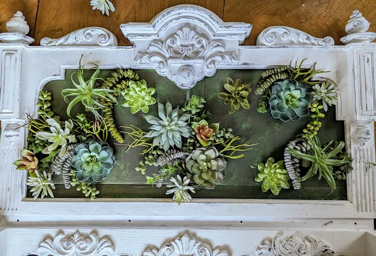 adding more succulents to the background.