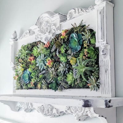 How to Make Beautiful DIY Succulent Wall Art