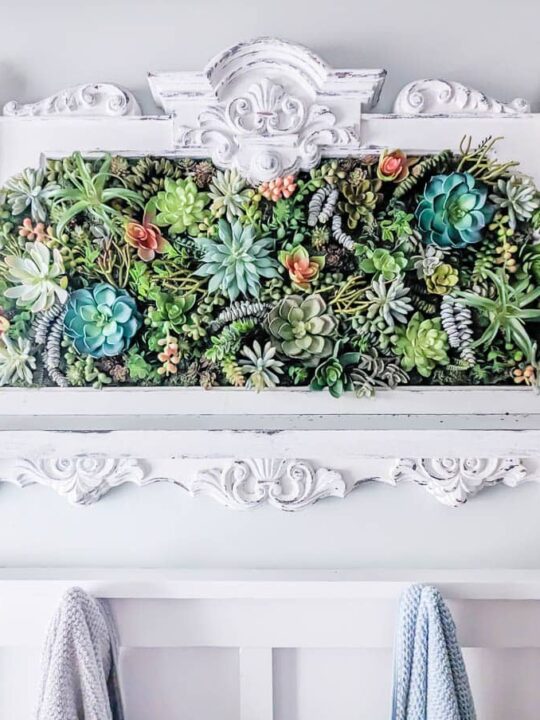 succulent bowl Gift 3 Cacti & 1 Succulent Assorted Ceramic Bowl Planters 5.25