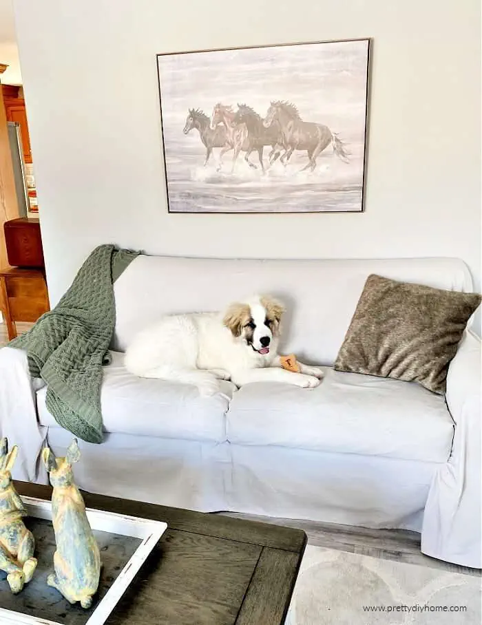 dog-friendly DIY couch slipcover.