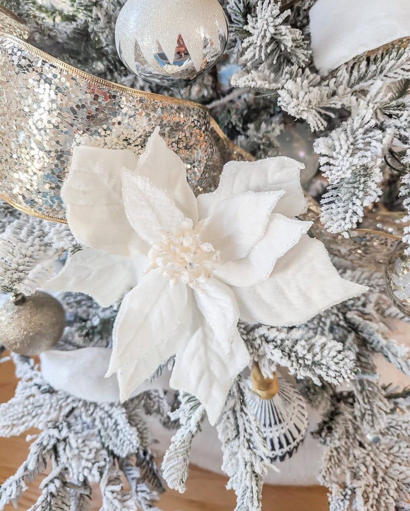 white poinsettia in Christmas tree.