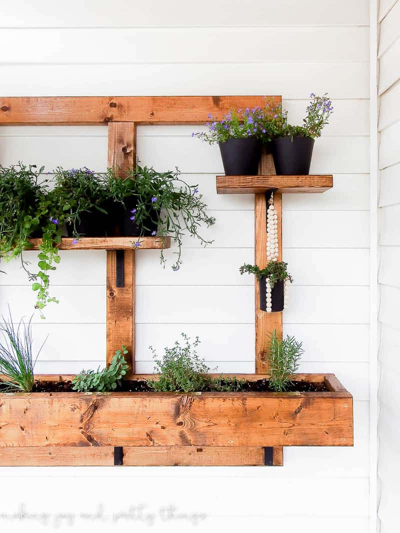 vertical herb garden with plants