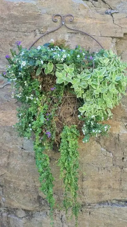 metal diy outdoor wall planter