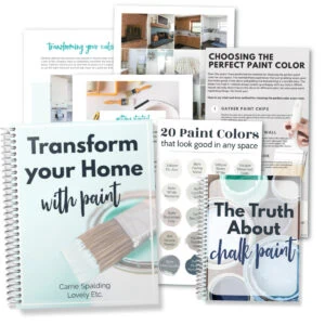 Transform Your Home with Paint Guide + Bonuses