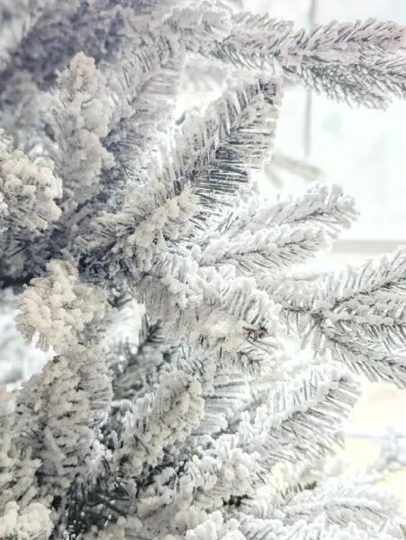 close up of flocked christmas tree